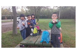 Primer de Primària. Sortida als aiguamolls.