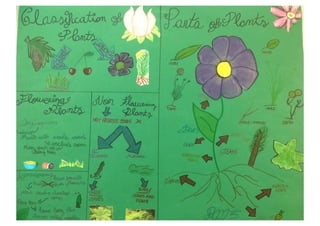 English Project. Discover the plants. Murals.
