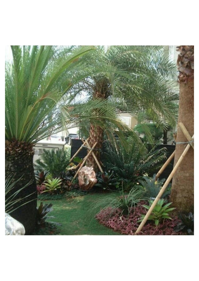 tukang taman surabaya jasa 217 HUB.081 Taman ( TSEL Jasa Surabaya ) 51 Tukang 311