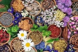 Different Herbal Medicine