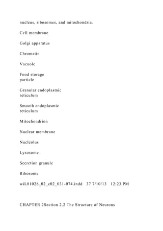 nucleus, ribosomes, and mitochondria.
Cell membrane
Golgi apparatus
Chromatin
Vacuole
Food storage
particle
Granular endoplasmic
reticulum
Smooth endoplasmic
reticulum
Mitochondrion
Nuclear membrane
Nucleolus
Lysosome
Secretion granule
Ribosome
wiL81028_02_c02_031-074.indd 37 7/10/13 12:23 PM
CHAPTER 2Section 2.2 The Structure of Neurons
 