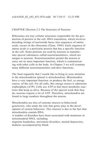 wiL81028_02_c02_031-074.indd 38 7/10/13 12:23 PM
CHAPTER 2Section 2.2 The Structure of Neurons
Ribosomes are tiny cellular structures responsible for the pro-
duction of protein in the cell. RNA translation, which involves
decoding strings of nucleotide bases into sequences of amino
acids, occurs in the ribosomes (Tjian, 1995). Each sequence of
amino acids is a particular protein that has a specific function
in the cell. Some proteins are used by neurons to manufac-
ture special substances called neurotransmitters, which are
unique to neurons. Neurotransmitters permit the neuron to
carry out its most important function, which is communicat-
ing with other cells in the body. In Chapter 3 we will examine
many different neurotransmitters and their functions.
The final organelle that I would like to bring to your attention
is the mitochondrion (plural is mitochondria). Mitochondria
have a very important function: to produce the fuel, or energy
source, of the cell. For all cells, this energy source is adenosine
triphosphate (ATP). Cells use ATP to fuel most metabolic reac-
tions that keep us alive. Because of the special work that they
do, neurons require a lot of ATP. Therefore, mitochondria are
found in large numbers throughout the neuron.
Mitochondria are also of extreme interest to behavioral
geneticists, who study the role that genes play in the devel-
opment of certain behaviors. This interest is due to the fact that
mitochondria contain DNA.
A number of disorders have been associated with mutations in
mitochondrial DNA, including
migraine headaches, movement disorders, mental depression,
diabetes accompanied by blind-
 