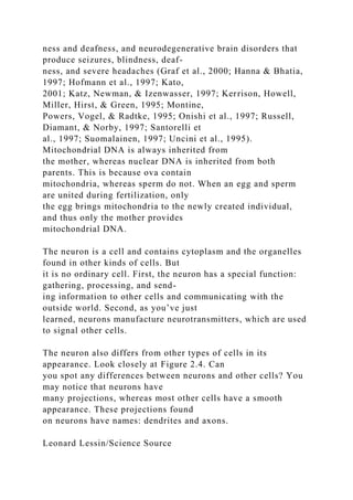 ness and deafness, and neurodegenerative brain disorders that
produce seizures, blindness, deaf-
ness, and severe headaches (Graf et al., 2000; Hanna & Bhatia,
1997; Hofmann et al., 1997; Kato,
2001; Katz, Newman, & Izenwasser, 1997; Kerrison, Howell,
Miller, Hirst, & Green, 1995; Montine,
Powers, Vogel, & Radtke, 1995; Onishi et al., 1997; Russell,
Diamant, & Norby, 1997; Santorelli et
al., 1997; Suomalainen, 1997; Uncini et al., 1995).
Mitochondrial DNA is always inherited from
the mother, whereas nuclear DNA is inherited from both
parents. This is because ova contain
mitochondria, whereas sperm do not. When an egg and sperm
are united during fertilization, only
the egg brings mitochondria to the newly created individual,
and thus only the mother provides
mitochondrial DNA.
The neuron is a cell and contains cytoplasm and the organelles
found in other kinds of cells. But
it is no ordinary cell. First, the neuron has a special function:
gathering, processing, and send-
ing information to other cells and communicating with the
outside world. Second, as you’ve just
learned, neurons manufacture neurotransmitters, which are used
to signal other cells.
The neuron also differs from other types of cells in its
appearance. Look closely at Figure 2.4. Can
you spot any differences between neurons and other cells? You
may notice that neurons have
many projections, whereas most other cells have a smooth
appearance. These projections found
on neurons have names: dendrites and axons.
Leonard Lessin/Science Source
 