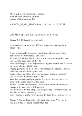 Photo 2.2 Down syndrome is associ-
ated with the presence of three
copies of chromosome 21.
wiL81028_02_c02_031-074.indd 39 7/10/13 12:23 PM
CHAPTER 2Section 2.2 The Structure of Neurons
Figure 2.4: Different types of cells
Neurons have a distinctly different appearance compared to
other cells.
A neuron typically has many dendrites and one axon. Each
dendrite is multibranched, and some
are covered with dendritic spines, which are short spikes that
increase the dendrites’ ability to
receive messages. Most signals reaching the neuron are received
by the dendrites, which have
special proteins on their surface to process the signal. There is
evidence that dendritic spines can
change shape and thus alter the messages that are received
(Koch, Zador, & Brown, 1992). The
axon is a tube-shaped projection that arises from a thickened
area on the soma known as the axon
hillock. Unlike the dendrites, the axon is usually unbranched
except at its end, where it branches
into numerous button-shaped endings called terminal buttons in
English or, more commonly, ter-
minal boutons, as they were named by their French discoverers.
Figure 2.5 is an illustration of a typical neuron. You can see
that dendrites are much shorter than the
 