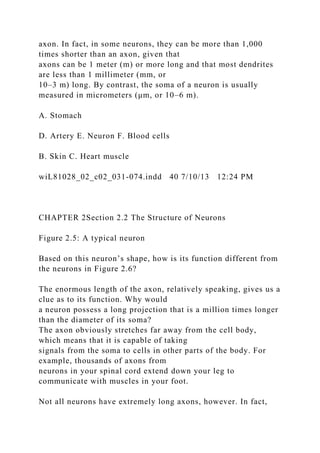 axon. In fact, in some neurons, they can be more than 1,000
times shorter than an axon, given that
axons can be 1 meter (m) or more long and that most dendrites
are less than 1 millimeter (mm, or
10–3 m) long. By contrast, the soma of a neuron is usually
measured in micrometers (μm, or 10–6 m).
A. Stomach
D. Artery E. Neuron F. Blood cells
B. Skin C. Heart muscle
wiL81028_02_c02_031-074.indd 40 7/10/13 12:24 PM
CHAPTER 2Section 2.2 The Structure of Neurons
Figure 2.5: A typical neuron
Based on this neuron’s shape, how is its function different from
the neurons in Figure 2.6?
The enormous length of the axon, relatively speaking, gives us a
clue as to its function. Why would
a neuron possess a long projection that is a million times longer
than the diameter of its soma?
The axon obviously stretches far away from the cell body,
which means that it is capable of taking
signals from the soma to cells in other parts of the body. For
example, thousands of axons from
neurons in your spinal cord extend down your leg to
communicate with muscles in your foot.
Not all neurons have extremely long axons, however. In fact,
 