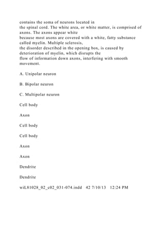 contains the soma of neurons located in
the spinal cord. The white area, or white matter, is comprised of
axons. The axons appear white
because most axons are covered with a white, fatty substance
called myelin. Multiple sclerosis,
the disorder described in the opening box, is caused by
deterioration of myelin, which disrupts the
flow of information down axons, interfering with smooth
movement.
A. Unipolar neuron
B. Bipolar neuron
C. Multipolar neuron
Cell body
Axon
Cell body
Cell body
Axon
Axon
Dendrite
Dendrite
wiL81028_02_c02_031-074.indd 42 7/10/13 12:24 PM
 