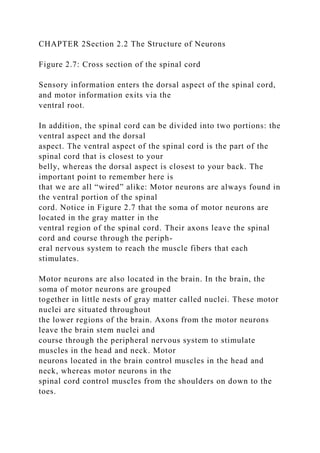 CHAPTER 2Section 2.2 The Structure of Neurons
Figure 2.7: Cross section of the spinal cord
Sensory information enters the dorsal aspect of the spinal cord,
and motor information exits via the
ventral root.
In addition, the spinal cord can be divided into two portions: the
ventral aspect and the dorsal
aspect. The ventral aspect of the spinal cord is the part of the
spinal cord that is closest to your
belly, whereas the dorsal aspect is closest to your back. The
important point to remember here is
that we are all “wired” alike: Motor neurons are always found in
the ventral portion of the spinal
cord. Notice in Figure 2.7 that the soma of motor neurons are
located in the gray matter in the
ventral region of the spinal cord. Their axons leave the spinal
cord and course through the periph-
eral nervous system to reach the muscle fibers that each
stimulates.
Motor neurons are also located in the brain. In the brain, the
soma of motor neurons are grouped
together in little nests of gray matter called nuclei. These motor
nuclei are situated throughout
the lower regions of the brain. Axons from the motor neurons
leave the brain stem nuclei and
course through the peripheral nervous system to stimulate
muscles in the head and neck. Motor
neurons located in the brain control muscles in the head and
neck, whereas motor neurons in the
spinal cord control muscles from the shoulders on down to the
toes.
 