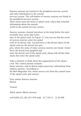 Sensory neurons are located in the peripheral nervous system
and carry information to the central
nervous system. The cell bodies of sensory neurons are found in
the peripheral nervous system.
Their axons enter the brain or spinal cord, where they transmit
information about the outside
world to the central nervous system.
Sensory neurons situated anywhere in the body below the neck
normally have axons that termi-
nate in the spinal cord. In Figure 2.7 you can see that the axons
of sensory neurons enter the spinal
cord on its dorsal side. Located next to the dorsal aspect of the
spinal cord are the dorsal root gan-
glia, where the soma of many sensory neurons are found. Axons
leave the dorsal root ganglion and
enter the dorsal root of the spinal cord, along with all the other
axons that enter the spinal cord.
Take a moment to think about the organization of the spinal
cord. The ventral portion contains
motor neurons, and its dorsal aspect processes information from
sensory neurons. According to
the Bell-Magendie law, motor nerves exit from the ventral areas
of the spinal cord, and sensory
Gray matter Sensory neurons
Dorsal
Ventral
White matter Motor neurons
wiL81028_02_c02_031-074.indd 43 7/10/13 12:24 PM
 