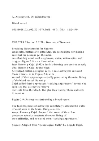 A. Astrocyte B. Oligodendrocyte
Blood vessel
wiL81028_02_c02_031-074.indd 46 7/10/13 12:24 PM
CHAPTER 2Section 2.2 The Structure of Neurons
Providing Nourishment for Neurons
Glial cells, particularly astrocytes, are responsible for making
sure that the neurons get the nutri-
ents that they need, such as glucose, water, amino acids, and
oxygen. Figure 2.9 is an illustration
from Ramon y Cajal (1933). In this drawing you can see exactly
what Ramon y Cajal found when
he studied certain astroglial cells. These astrocytes surround
blood vessels, as in Figure 2.9, with
several of their appendages actually penetrating the outer lining
of the blood vessel. Ramon y
Cajal called these appendages “sucking apparatuses” because he
surmised that astrocytes remove
nutrients from the blood. The glia then transfer these nutrients
to neurons.
Figure 2.9: Astrocytes surrounding a blood vessel
The foot processes of astrocytes completely surround the walls
of capillaries in the brain. Using a micro-
scope, Ramon y Cajal observed that some of these foot
processes actually penetrate the outer lining of
the capillaries, and he called them “sucking apparatuses.”
Source: Adapted from “Neurological Cells” by Legado Cajal,
 