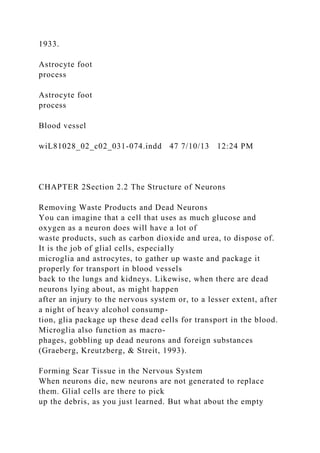 1933.
Astrocyte foot
process
Astrocyte foot
process
Blood vessel
wiL81028_02_c02_031-074.indd 47 7/10/13 12:24 PM
CHAPTER 2Section 2.2 The Structure of Neurons
Removing Waste Products and Dead Neurons
You can imagine that a cell that uses as much glucose and
oxygen as a neuron does will have a lot of
waste products, such as carbon dioxide and urea, to dispose of.
It is the job of glial cells, especially
microglia and astrocytes, to gather up waste and package it
properly for transport in blood vessels
back to the lungs and kidneys. Likewise, when there are dead
neurons lying about, as might happen
after an injury to the nervous system or, to a lesser extent, after
a night of heavy alcohol consump-
tion, glia package up these dead cells for transport in the blood.
Microglia also function as macro-
phages, gobbling up dead neurons and foreign substances
(Graeberg, Kreutzberg, & Streit, 1993).
Forming Scar Tissue in the Nervous System
When neurons die, new neurons are not generated to replace
them. Glial cells are there to pick
up the debris, as you just learned. But what about the empty
 