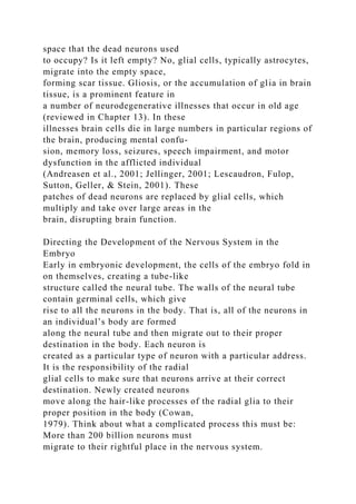 space that the dead neurons used
to occupy? Is it left empty? No, glial cells, typically astrocytes,
migrate into the empty space,
forming scar tissue. Gliosis, or the accumulation of glia in brain
tissue, is a prominent feature in
a number of neurodegenerative illnesses that occur in old age
(reviewed in Chapter 13). In these
illnesses brain cells die in large numbers in particular regions of
the brain, producing mental confu-
sion, memory loss, seizures, speech impairment, and motor
dysfunction in the afflicted individual
(Andreasen et al., 2001; Jellinger, 2001; Lescaudron, Fulop,
Sutton, Geller, & Stein, 2001). These
patches of dead neurons are replaced by glial cells, which
multiply and take over large areas in the
brain, disrupting brain function.
Directing the Development of the Nervous System in the
Embryo
Early in embryonic development, the cells of the embryo fold in
on themselves, creating a tube-like
structure called the neural tube. The walls of the neural tube
contain germinal cells, which give
rise to all the neurons in the body. That is, all of the neurons in
an individual’s body are formed
along the neural tube and then migrate out to their proper
destination in the body. Each neuron is
created as a particular type of neuron with a particular address.
It is the responsibility of the radial
glial cells to make sure that neurons arrive at their correct
destination. Newly created neurons
move along the hair-like processes of the radial glia to their
proper position in the body (Cowan,
1979). Think about what a complicated process this must be:
More than 200 billion neurons must
migrate to their rightful place in the nervous system.
 