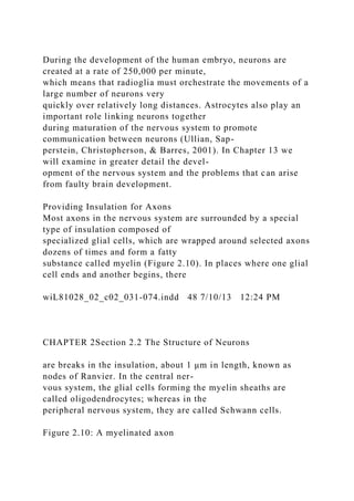 During the development of the human embryo, neurons are
created at a rate of 250,000 per minute,
which means that radioglia must orchestrate the movements of a
large number of neurons very
quickly over relatively long distances. Astrocytes also play an
important role linking neurons together
during maturation of the nervous system to promote
communication between neurons (Ullian, Sap-
perstein, Christopherson, & Barres, 2001). In Chapter 13 we
will examine in greater detail the devel-
opment of the nervous system and the problems that can arise
from faulty brain development.
Providing Insulation for Axons
Most axons in the nervous system are surrounded by a special
type of insulation composed of
specialized glial cells, which are wrapped around selected axons
dozens of times and form a fatty
substance called myelin (Figure 2.10). In places where one glial
cell ends and another begins, there
wiL81028_02_c02_031-074.indd 48 7/10/13 12:24 PM
CHAPTER 2Section 2.2 The Structure of Neurons
are breaks in the insulation, about 1 μm in length, known as
nodes of Ranvier. In the central ner-
vous system, the glial cells forming the myelin sheaths are
called oligodendrocytes; whereas in the
peripheral nervous system, they are called Schwann cells.
Figure 2.10: A myelinated axon
 
