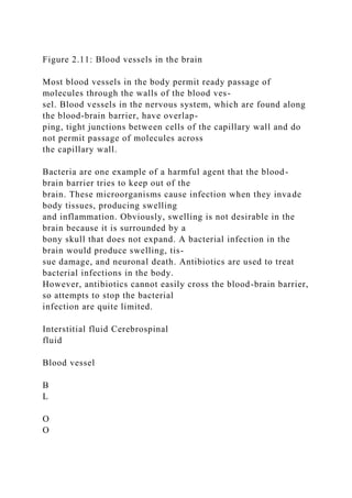 Figure 2.11: Blood vessels in the brain
Most blood vessels in the body permit ready passage of
molecules through the walls of the blood ves-
sel. Blood vessels in the nervous system, which are found along
the blood-brain barrier, have overlap-
ping, tight junctions between cells of the capillary wall and do
not permit passage of molecules across
the capillary wall.
Bacteria are one example of a harmful agent that the blood-
brain barrier tries to keep out of the
brain. These microorganisms cause infection when they invade
body tissues, producing swelling
and inflammation. Obviously, swelling is not desirable in the
brain because it is surrounded by a
bony skull that does not expand. A bacterial infection in the
brain would produce swelling, tis-
sue damage, and neuronal death. Antibiotics are used to treat
bacterial infections in the body.
However, antibiotics cannot easily cross the blood-brain barrier,
so attempts to stop the bacterial
infection are quite limited.
Interstitial fluid Cerebrospinal
fluid
Blood vessel
B
L
O
O
 