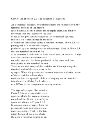 CHAPTER 2Section 2.3 The Function of Neurons
At a chemical synapse, neurotransmitters are released from the
terminal buttons of the presyn-
aptic neurons, diffuse across the synaptic cleft, and bind to
receptors that are located on the den-
drites of the postsynaptic neurons. In a chemical synapse,
information is transmitted in the form
of chemical substances called neurotransmitters. Photo 2.3 is a
photograph of a chemical synapse,
produced by a scanning electron microscope. Note in Photo 2.3
that the terminal button of the
axon contains a multitude of little round sacs, or vesicles. These
vesicles contain a neurotransmit-
ter substance that has been produced in the soma and then
transported to the terminal button.
You can see that many of the vesicles are lined up along the
terminal wall of the axon next to the
synapse. When the presynaptic neuron becomes activated, some
of these vesicles release their
contents into the synaptic cleft, discharging neurotransmitter
into the extracellular fluid, where it
can diffuse to the receptors on nearby neurons.
The type of synapse illustrated in
Photo 2.3 is an axodendritic syn-
apse, in which the axon terminates
on a dendrite. Other types of syn-
apses are shown in Figure 2.13.
In an axoaxonic synapse, both the
presynaptic and postsynaptic ele-
ments are axons. That is, the ter-
minal button of one axon abuts
the axon of another neuron in an
 