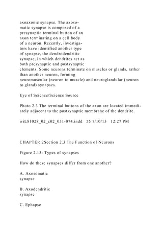 axoaxonic synapse. The axoso-
matic synapse is composed of a
presynaptic terminal button of an
axon terminating on a cell body
of a neuron. Recently, investiga-
tors have identified another type
of synapse, the dendrodendritic
synapse, in which dendrites act as
both presynaptic and postsynaptic
elements. Some neurons terminate on muscles or glands, rather
than another neuron, forming
neuromuscular (neuron to muscle) and neuroglandular (neuron
to gland) synapses.
Eye of Science/Science Source
Photo 2.3 The terminal buttons of the axon are located immedi-
ately adjacent to the postsynaptic membrane of the dendrite.
wiL81028_02_c02_031-074.indd 55 7/10/13 12:27 PM
CHAPTER 2Section 2.3 The Function of Neurons
Figure 2.13: Types of synapses
How do these synapses differ from one another?
A. Axosomatic
synapse
B. Axodendritic
synapse
C. Ephapse
 