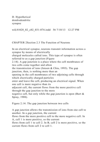 D. Hypothetical
dendrodendritic
synapse
wiL81028_02_c02_031-074.indd 56 7/10/13 12:27 PM
CHAPTER 2Section 2.3 The Function of Neurons
In an electrical synapse, neurons transmit information across a
synapse by means of electrically
charged molecules called ions. This type of synapse is often
referred to as a gap junction (Figure
2.14). A gap junction is a place where the cell membranes of
two cells come together and allow
the transmission of ions (Jensen & Chiu, 1993). The gap
junction, then, is nothing more than an
opening in the cell membranes of two adjoining cells through
which electrically charged particles
enter and leave the cell, producing an electrical signal. When
one cell is more negative than its
adjacent cell, the current flows from the more positive cell
through the gap junction to the more
negative cell, but only while the gap junction is open (Burt &
Spray, 1988).
Figure 2.14: The gap junction between two cells
A gap junction allows the transmission of ions from one cell to
another. In a gap junction, the current
flows from the more positive cell to the more negative cell. In
A, cell 1 is more positive, so the current
flows from cell 1 to cell 2. In B, cell 2 is more positive, so the
current flows from cell 2 to cell 1.
 