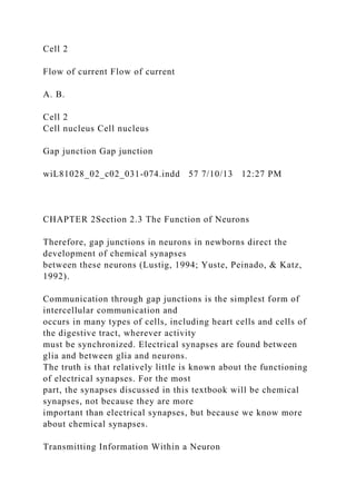 Cell 2
Flow of current Flow of current
A. B.
Cell 2
Cell nucleus Cell nucleus
Gap junction Gap junction
wiL81028_02_c02_031-074.indd 57 7/10/13 12:27 PM
CHAPTER 2Section 2.3 The Function of Neurons
Therefore, gap junctions in neurons in newborns direct the
development of chemical synapses
between these neurons (Lustig, 1994; Yuste, Peinado, & Katz,
1992).
Communication through gap junctions is the simplest form of
intercellular communication and
occurs in many types of cells, including heart cells and cells of
the digestive tract, wherever activity
must be synchronized. Electrical synapses are found between
glia and between glia and neurons.
The truth is that relatively little is known about the functioning
of electrical synapses. For the most
part, the synapses discussed in this textbook will be chemical
synapses, not because they are more
important than electrical synapses, but because we know more
about chemical synapses.
Transmitting Information Within a Neuron
 