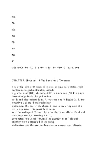 Na
Na
Na
Na
Na
Na
Na
K
wiL81028_02_c02_031-074.indd 58 7/10/13 12:27 PM
CHAPTER 2Section 2.3 The Function of Neurons
The cytoplasm of the neuron is also an aqueous solution that
contains charged molecules, includ-
ing potassium (K1), chloride (Cl2), ammonium (NH41), and a
host of negatively charged amino
acids and bicarbonate ions. As you can see in Figure 2.15, the
negatively charged molecules far
outnumber the positively charged ions in the cytoplasm of a
resting neuron. It is possible to mea-
sure the voltage difference between the extracellular fluid and
the cytoplasm by inserting a wire,
connected to a voltmeter, into the extracellular fluid and
another wire, connected to the same
voltmeter, into the neuron. In a resting neuron the voltmeter
 