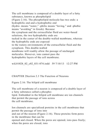 The cell membrane is composed of a double layer of a fatty
substance, known as phospholipid
(Figure 2.16). The phospholipid molecule has two ends: a
hydrophilic end and a hydrophobic end
(hydro- means “water,” -philic means “loving,” and -phobic
means “avoiding” in Greek). Because
the cytoplasm and the extracellular fluid are water-based
solutions, the two hydrophobic ends are
tucked in the center of the double-walled membrane, whereas
the hydrophilic ends are exposed
to the watery environments of the extracellular fluid and the
cytoplasm. This double-walled
membrane will readily allow the passage of uncharged
molecules. However, ions cannot pass the
hydrophobic layers of the cell membrane.
wiL81028_02_c02_031-074.indd 59 7/10/13 12:27 PM
CHAPTER 2Section 2.3 The Function of Neurons
Figure 2.16: The bilipid cell membrane
The cell membrane of a neuron is composed of a double layer of
a fatty substance called a phospho-
lipid. Embedded in the bilipid cell membrane are ion channels
that permit the passage of ions across
the cell membrane.
Ion channels are specialized proteins in the cell membrane that
permit the passage of ions into
and out of the neuron (Figure 2.16). These proteins form pores
in the membrane that can be
opened and closed. When the pores are opened, ions pass freely;
when the pores are closed, ions
 