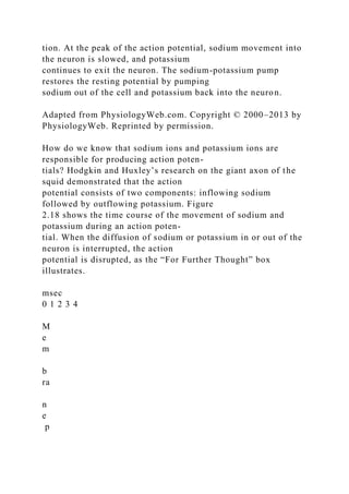 tion. At the peak of the action potential, sodium movement into
the neuron is slowed, and potassium
continues to exit the neuron. The sodium-potassium pump
restores the resting potential by pumping
sodium out of the cell and potassium back into the neuron.
Adapted from PhysiologyWeb.com. Copyright © 2000–2013 by
PhysiologyWeb. Reprinted by permission.
How do we know that sodium ions and potassium ions are
responsible for producing action poten-
tials? Hodgkin and Huxley’s research on the giant axon of the
squid demonstrated that the action
potential consists of two components: inflowing sodium
followed by outflowing potassium. Figure
2.18 shows the time course of the movement of sodium and
potassium during an action poten-
tial. When the diffusion of sodium or potassium in or out of the
neuron is interrupted, the action
potential is disrupted, as the “For Further Thought” box
illustrates.
msec
0 1 2 3 4
M
e
m
b
ra
n
e
p
 