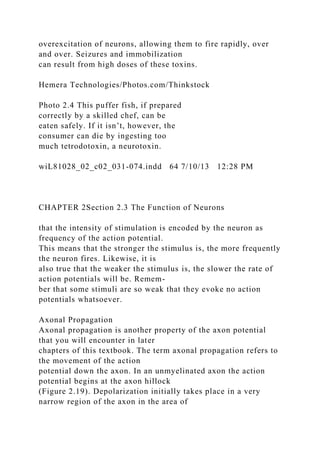 overexcitation of neurons, allowing them to fire rapidly, over
and over. Seizures and immobilization
can result from high doses of these toxins.
Hemera Technologies/Photos.com/Thinkstock
Photo 2.4 This puffer fish, if prepared
correctly by a skilled chef, can be
eaten safely. If it isn’t, however, the
consumer can die by ingesting too
much tetrodotoxin, a neurotoxin.
wiL81028_02_c02_031-074.indd 64 7/10/13 12:28 PM
CHAPTER 2Section 2.3 The Function of Neurons
that the intensity of stimulation is encoded by the neuron as
frequency of the action potential.
This means that the stronger the stimulus is, the more frequently
the neuron fires. Likewise, it is
also true that the weaker the stimulus is, the slower the rate of
action potentials will be. Remem-
ber that some stimuli are so weak that they evoke no action
potentials whatsoever.
Axonal Propagation
Axonal propagation is another property of the axon potential
that you will encounter in later
chapters of this textbook. The term axonal propagation refers to
the movement of the action
potential down the axon. In an unmyelinated axon the action
potential begins at the axon hillock
(Figure 2.19). Depolarization initially takes place in a very
narrow region of the axon in the area of
 