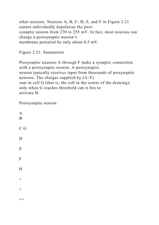 other neurons. Neurons A, B, C, D, E, and F in Figure 2.21
cannot individually depolarize the post-
synaptic neuron from 270 to 255 mV. In fact, most neurons can
change a postsynaptic neuron’s
membrane potential by only about 0.5 mV.
Figure 2.21: Summation
Presynaptic neurons A through F make a synaptic connection
with a postsynaptic neuron. A postsynaptic
neuron typically receives input from thousands of presynaptic
neurons. The charges supplied by (A–F)
sum in cell G (that is, the cell in the center of the drawing):
only when G reaches threshold can it fire to
activate H.
Postsynaptic neuron
A
B
C G
D
E
F
H
+
+
++
 