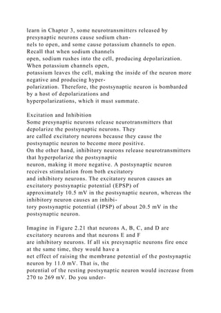 learn in Chapter 3, some neurotransmitters released by
presynaptic neurons cause sodium chan-
nels to open, and some cause potassium channels to open.
Recall that when sodium channels
open, sodium rushes into the cell, producing depolarization.
When potassium channels open,
potassium leaves the cell, making the inside of the neuron more
negative and producing hyper-
polarization. Therefore, the postsynaptic neuron is bombarded
by a host of depolarizations and
hyperpolarizations, which it must summate.
Excitation and Inhibition
Some presynaptic neurons release neurotransmitters that
depolarize the postsynaptic neurons. They
are called excitatory neurons because they cause the
postsynaptic neuron to become more positive.
On the other hand, inhibitory neurons release neurotransmitters
that hyperpolarize the postsynaptic
neuron, making it more negative. A postsynaptic neuron
receives stimulation from both excitatory
and inhibitory neurons. The excitatory neuron causes an
excitatory postsynaptic potential (EPSP) of
approximately 10.5 mV in the postsynaptic neuron, whereas the
inhibitory neuron causes an inhibi-
tory postsynaptic potential (IPSP) of about 20.5 mV in the
postsynaptic neuron.
Imagine in Figure 2.21 that neurons A, B, C, and D are
excitatory neurons and that neurons E and F
are inhibitory neurons. If all six presynaptic neurons fire once
at the same time, they would have a
net effect of raising the membrane potential of the postsynaptic
neuron by 11.0 mV. That is, the
potential of the resting postsynaptic neuron would increase from
270 to 269 mV. Do you under-
 