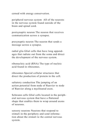 cerned with energy conservation.
peripheral nervous system All of the neurons
in the nervous system found outside of the
brain and spinal cord.
postsynaptic neuron The neuron that receives
communication across a synapse.
presynaptic neuron The neuron that sends a
message across a synapse.
radial glia Glial cells that have long append-
ages that radiate out from the soma and direct
the development of the nervous system.
ribonucleic acid (RNA) The type of nucleic
acid found in ribosomes.
ribosomes Special cellular structures that
direct the production of protein in the cell.
saltatory conduction The jumping of an
action potential from node of Ranvier to node
of Ranvier along a myelinated axon.
Schwann cells Glial cells located in the periph-
eral nervous system that have a flattened
shape that enables them to wrap around axons
of neurons.
sensory neurons Neurons that respond to
stimuli in the periphery and send informa-
tion about the stimuli to the central nervous
system.
 