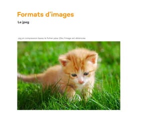 Formats d’images
Le jpeg
Jpg en compression basse, le
fi
chier pése 12ko, l’image est détériorée
 