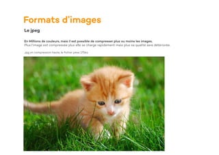 Formats d’images
Le jpeg
En Millions de couleurs, mais il est possible de compresser plus ou moins les images.
Plus l’image est compressée plus elle se charge rapidement mais plus sa qualité sera détériorée.
Jpg en compression haute, le
fi
chier pèse 175ko
 