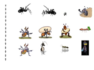 Ants Ants 
