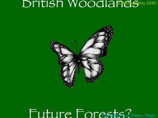 British Woodlands Future Forests? The Memory of Trees –  Enya (Right click to open  iTunes ) S.Rackley (May 2008) 