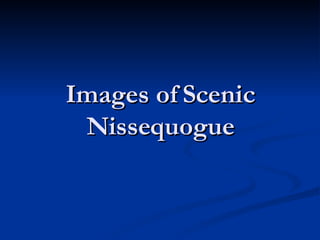 Images of Scenic Nissequogue 