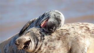 Your Content Doesn't Matter Without Technology