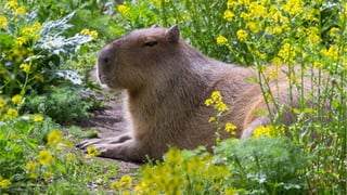 Your Content Doesn't Matter Without Technology