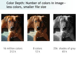 Color Depth: Number of colors in image—
  less colors, smaller file size




16 million colors   8 colors    256 shades of gray
     212 k            12 k            65 k
 