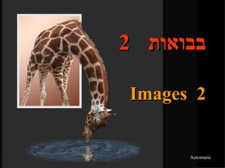 בבואות  2 Images  2 Automatic 