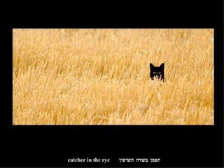 תפסן בשדה השיפון catcher in the rye 