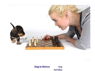 מלך במצוקה king in distress 