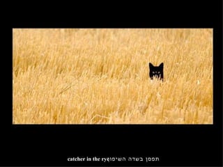 תפסן בשדה השיפון catcher in the rye 