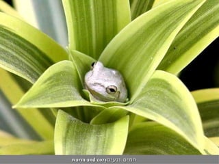 חמים ונעים warm and cozy 