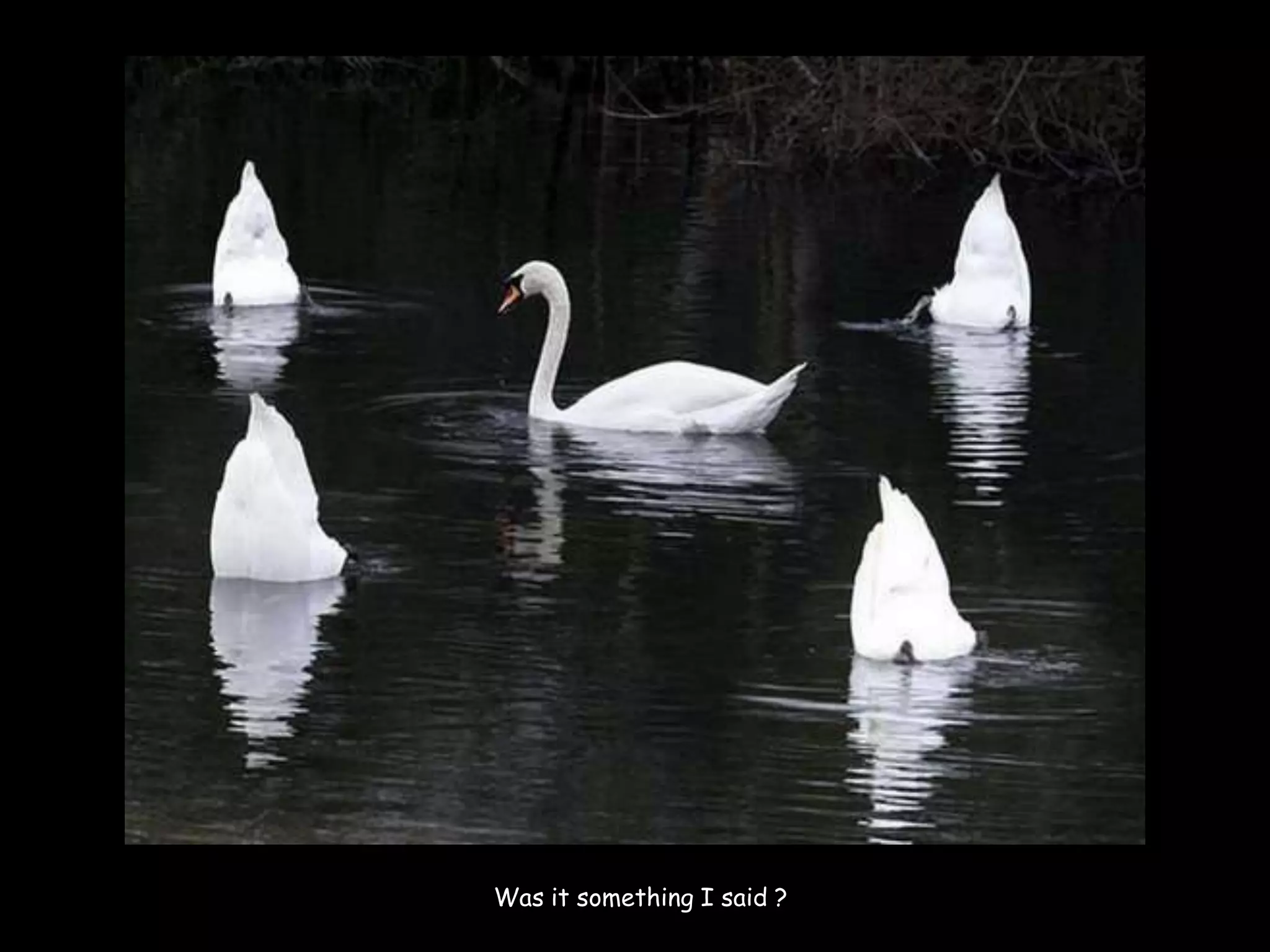 Was it something I said ?