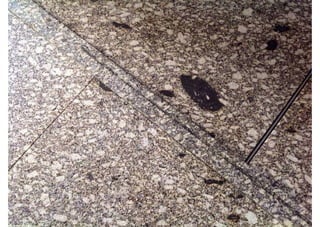 CANALIZAÇÃO/DUCHES