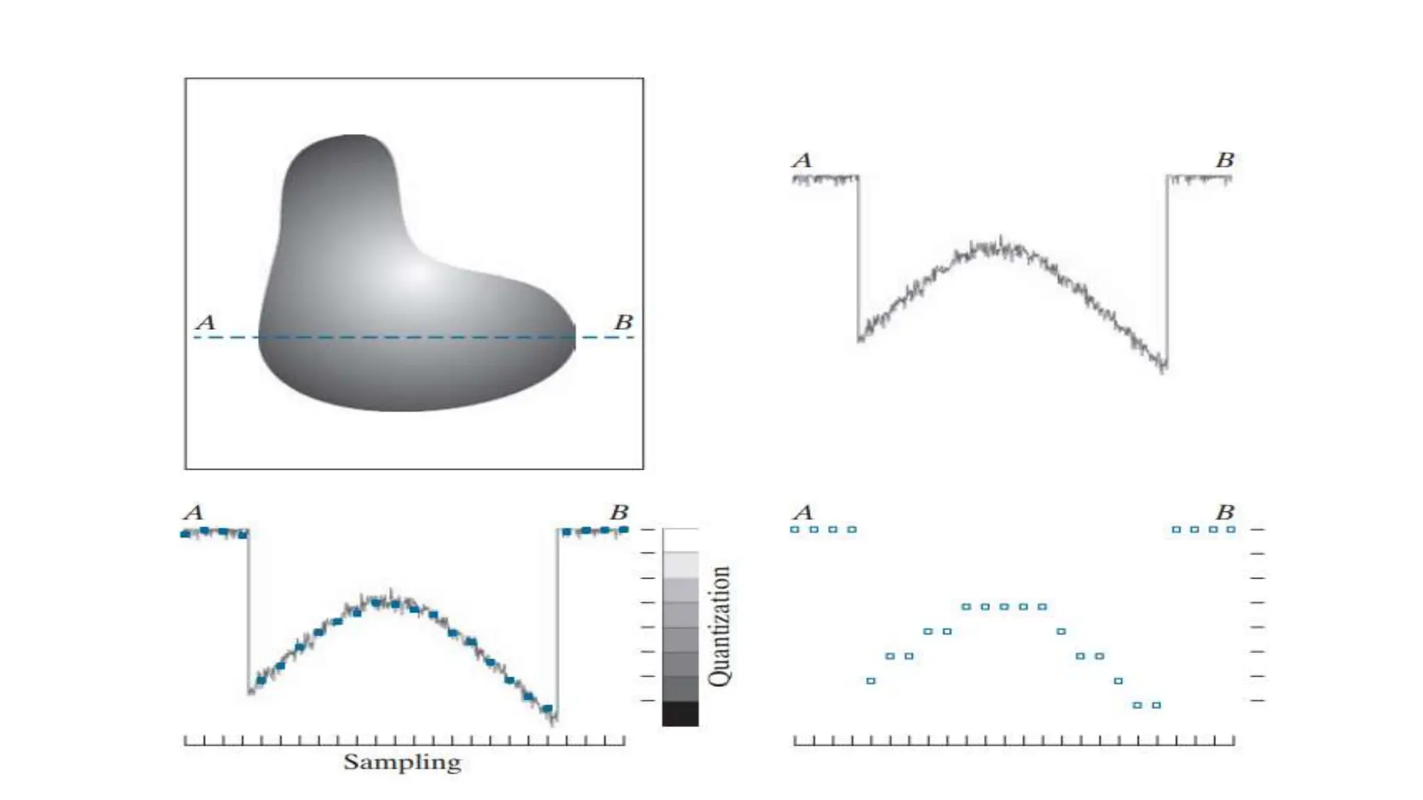 Image Sampling and Quantization.pptx