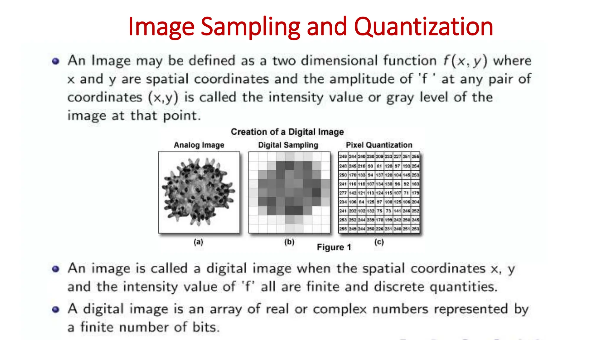 Image Sampling and Quantization.pptx