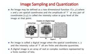 Image Sampling and Quantization.pptx | Digital Audio | Computer ...