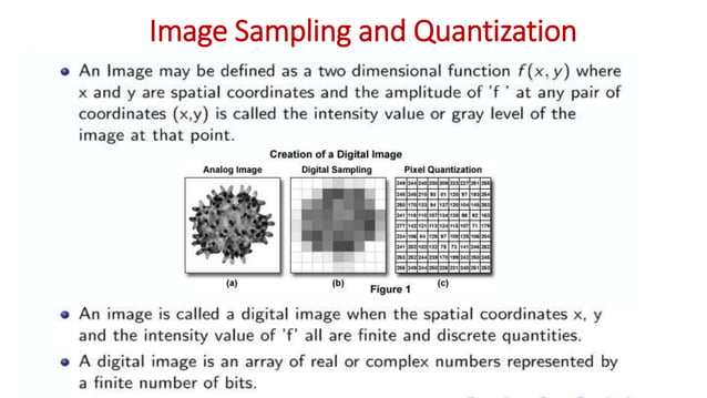 Image Sampling and Quantization.pptx | Digital Audio | Computer ...