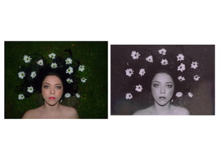 Media final photos- analysed 