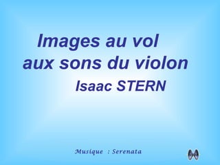 Images au vol
aux sons du violon
     Isaac STERN



     Musique : Serenata
 