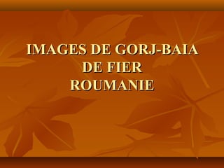 IMAGES DE GORJ-BAIAIMAGES DE GORJ-BAIA
DE FIERDE FIER
ROUMANIEROUMANIE
 